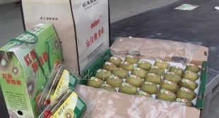 尋找獼猴桃代理加盟與二手設備轉讓 世界工廠網瓜果商機全覽