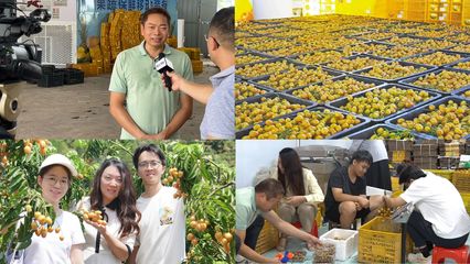 【百千萬工程】央視聚焦的81億產業如何破圈？廣東白云學院用“AI+非遺基因庫”給出答案